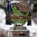 Confronto entre Bahia e Retrô na Copa do Brasil tem detalhes divulgados pela CBF.