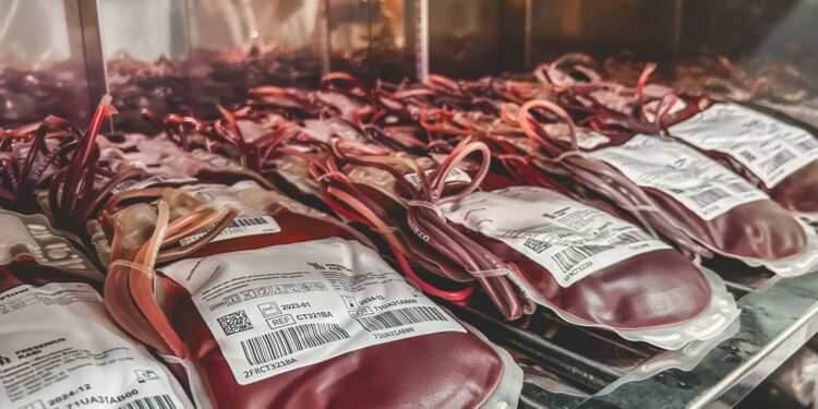 Dia Mundial do Doador de Sangue: um gesto que pode salvar múltiplas vidas
