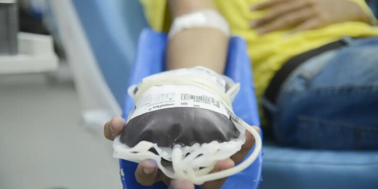 Doação de sangue voluntária é fundamental para o tratamento de câncer.