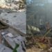 Igreja desaba em Jequié e bombeiros resgatam 14 pessoas com vida