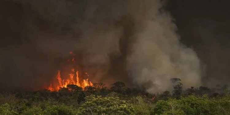 Incêndios florestais devastaram uma área de 30 milhões de hectares em território nacional no ano de 2024