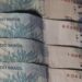 Estudo: tributação de grandes fortunas promoveria igualdade socioeconômica.