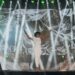Larissa Luz, Rachel Reis, Luedji Luna, Mariene de Castro e Majur fazem show em homenagem às mulheres negras na Praça Maria Felipa