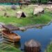 Carcaças de Aves Mortas do BioParque do Rio Serão Análisadas em Campinas