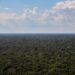 Entidades do terceiro setor lançam proposta de plano de investimento para a Amazônia