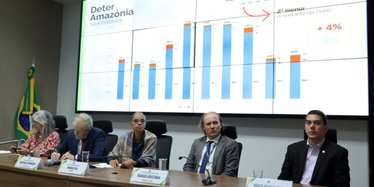 Desmatamento: Cerrado registra queda, mas avança na Amazônia