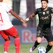 Botafogo e Bragantino se enfrentam em jogo decisivo pelo Brasileirão