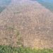 Desmatamento agrava mortes por calor no Brasil