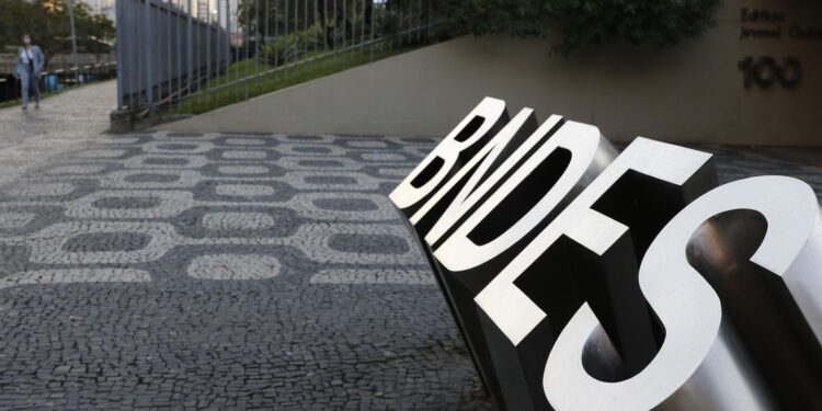 BNDES procura especialista para liderar projetos de conservação ambiental