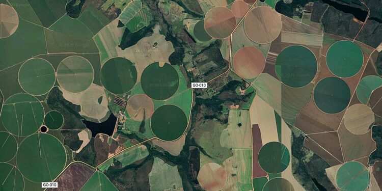 Cade suspende moratória da soja e acende alerta ambiental.