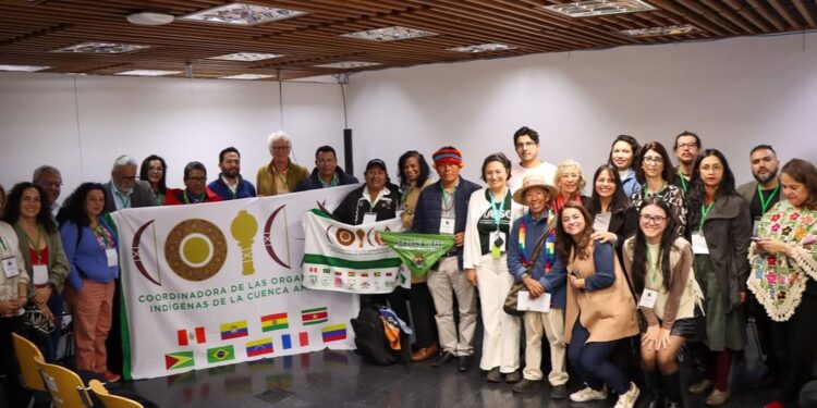 Organizações pedem voz na gestão da OTCA