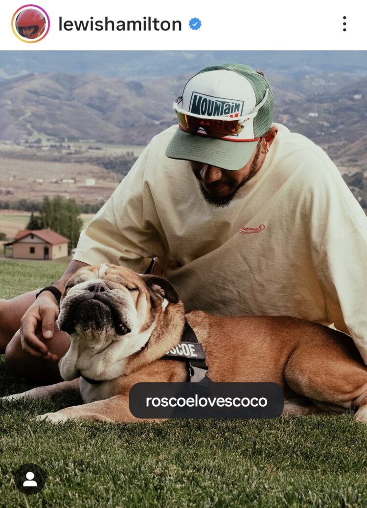 Lewis Hamilton anuncia morte de seu cachorro Roscoe após decisão por eutanásia