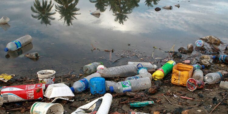 Amazônia: Fiocruz soa o alarme sobre contaminação por plástico