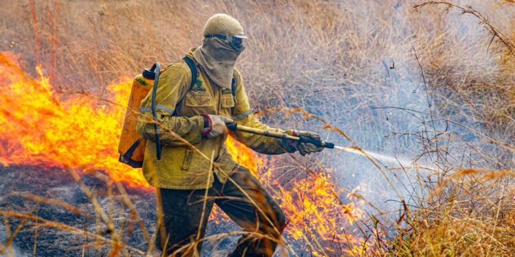 Chapada dos Veadeiros: Raios iniciam novo incêndio
