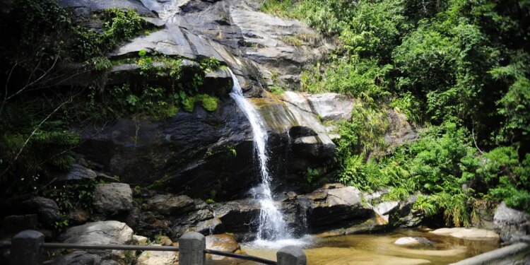 Tijuca sedia feira de ciências com tema aquático