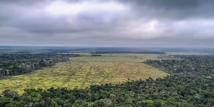 Governo insiste em vetos à lei do licenciamento ambiental