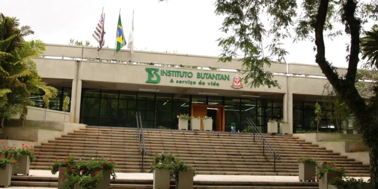MS abre caminho para produção de remédios para o SUS em parceria com setor privado