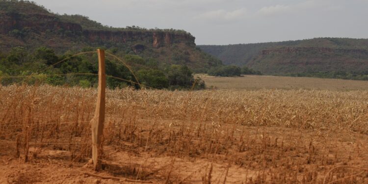 Acesso desigual ao Estado exacerba conflitos no Cerrado