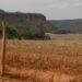 Acesso desigual ao Estado exacerba conflitos no Cerrado