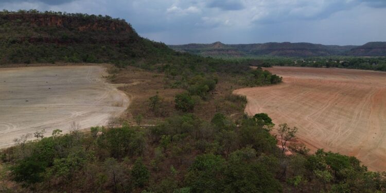 Fronteira Cerrado: Avanço do agronegócio ameaça recursos hídricos