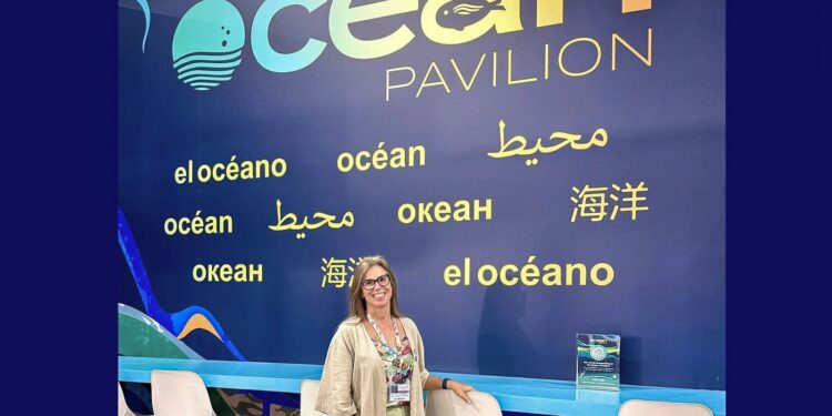 Oceanos como aliados na redução de emissões de CO₂ até 2050