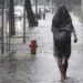 Alerta de Tempestade: Defesa Civil Avisa População do Sul e Centro-Oeste