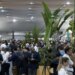 COP30: Negociações em ritmo acelerado em Belém na reta final