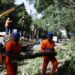 São Paulo enfrenta apagão e moradores se mobilizam