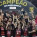 Flamengo conquista título Brasileiro e encerra ano mágico