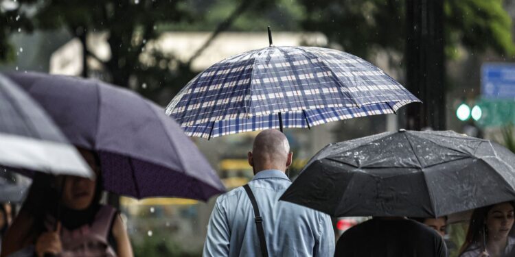 Tempestade causa apagão e deixa dezenas de milhares sem energia em São Paulo