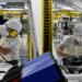Crescimento econômico brasileiro desacelera no terceiro trimestre