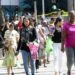 Desemprego atinge recorde histórico em dezembro