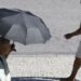 Onda de calor: Rio pode atingir 39ºC neste domingo