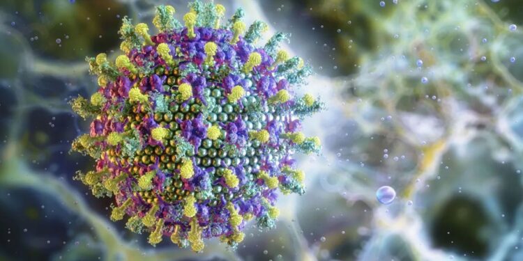 Vírus Nipah: Brasil fora de risco, garante Saúde
