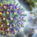 Vírus Nipah: Brasil fora de risco, garante Saúde