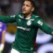 Palmeiras vence Fluminense e segue no topo do Brasileirão