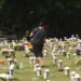 Animais de estimação poderão ter lugar em jazigos familiares em SP