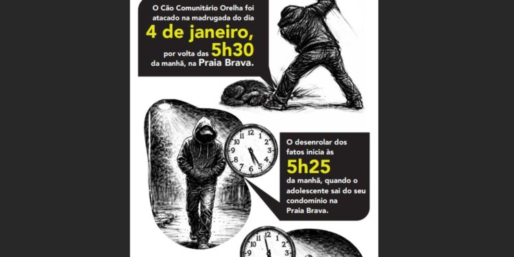 Cão Orelha: Investigação policial avança com dados de celular
