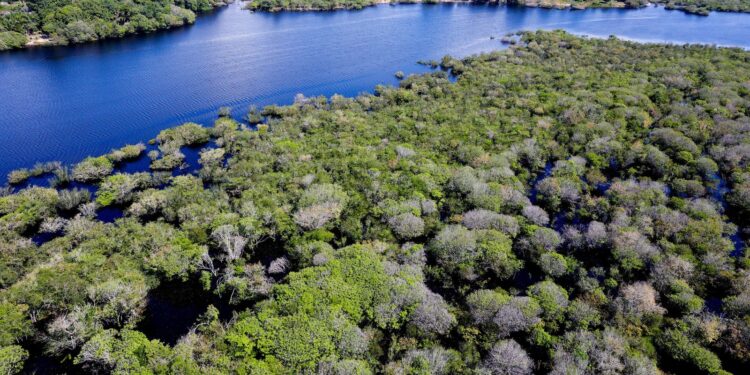 Governo anuncia plano para frear desmatamento na Amazônia