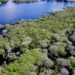 Governo anuncia plano para frear desmatamento na Amazônia