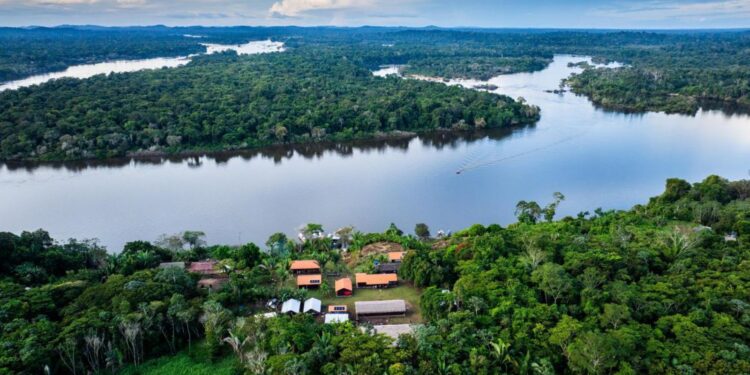 Fundo Amazônia investe em agricultura comunitária na região