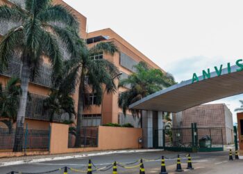 Cúrcuma em suplementos: Anvisa alerta para risco ao fígado