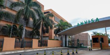 Cúrcuma em suplementos: Anvisa alerta para risco ao fígado