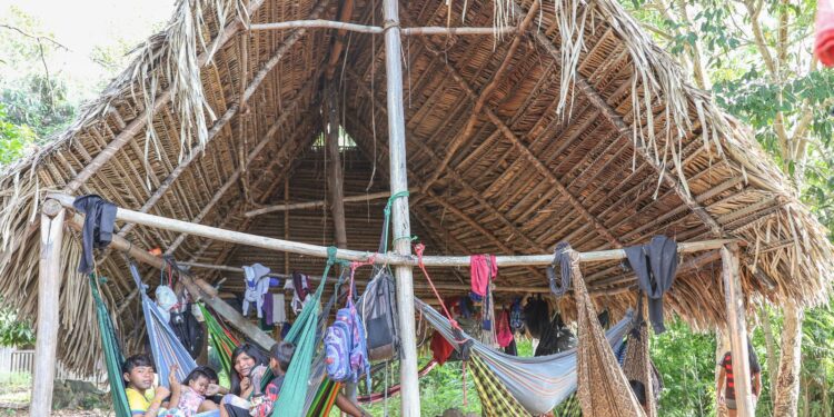 Parakanã retomam território ancestral no Pará