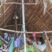 Parakanã retomam território ancestral no Pará