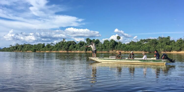 Populações de peixes de água doce enfrentam grave ameaça global