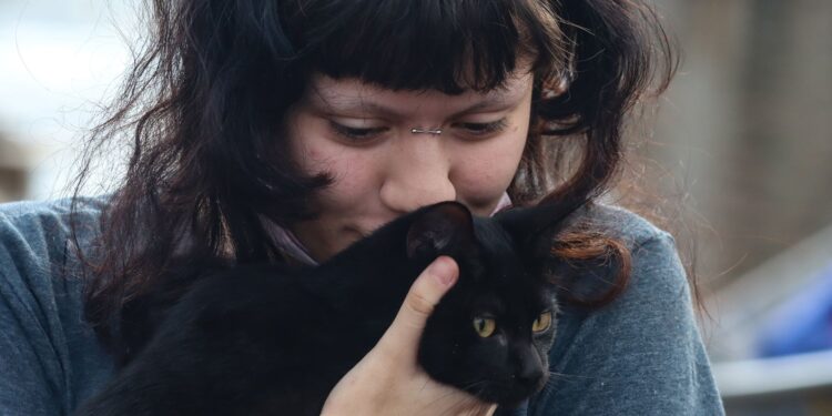 Prefeitura de SP lança programa gratuito de castração para cães e gatos.