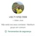 Alerta Urgente: Deputado Capitão Alden Denuncia Golpe de WhatsApp em Seu Nome,Criminosos Usam Imagem do Parlamentar para Pedir Dinheiro e Já Fizeram Vítimas Salvador, Bahia