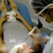 Jovens ganham vagas em programa gratuito de tratamento odontológico.
