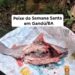 Moradores de Gandu denunciam peixes podres distribuídos pela prefeitura na Semana Santa